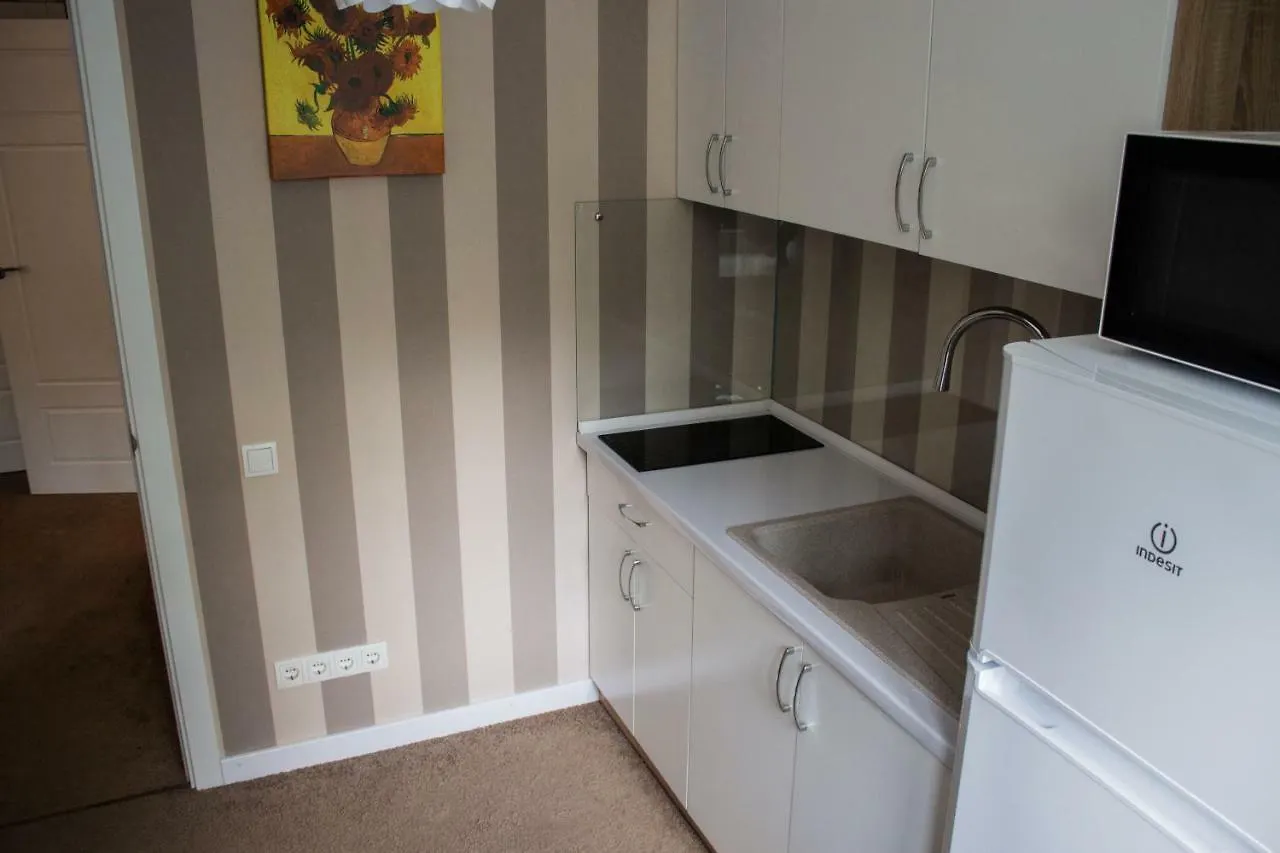 Charming City Center Flat L Self Check-In Kiev Ukraina
